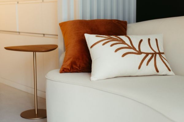 Découvrez des coussins variés pour tous vos besoins confortables