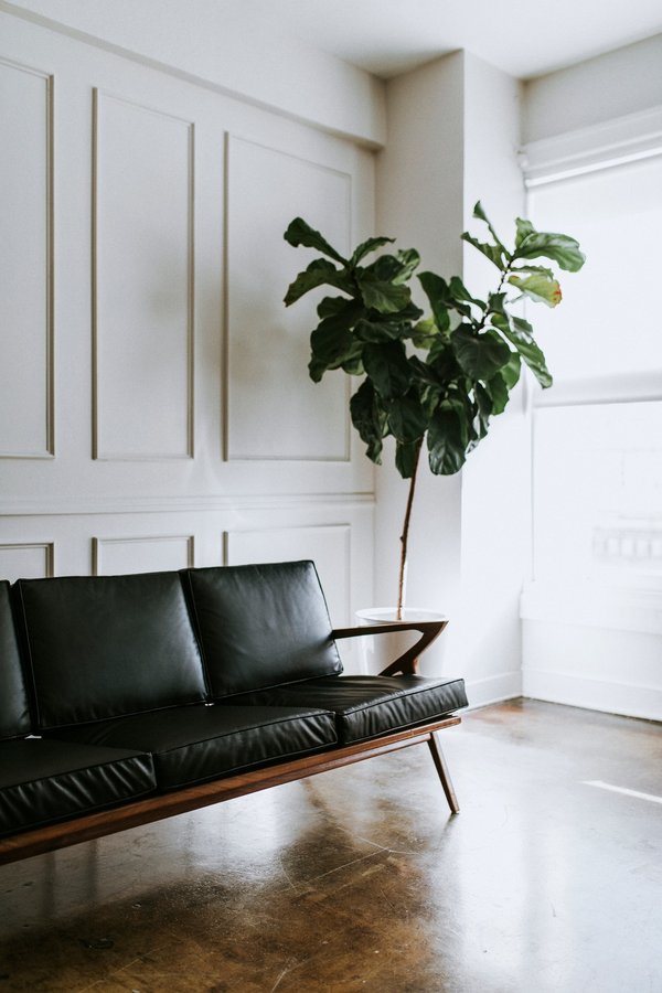 Les atouts incontournables du canapé en cuir convertible