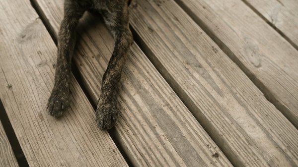 Quelles sont les options pour installer un plancher en bois massif dans une maison ancienne ?